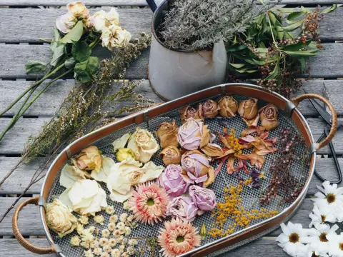 Suszenie kwiatów w soli - poradnik krok po kroku!